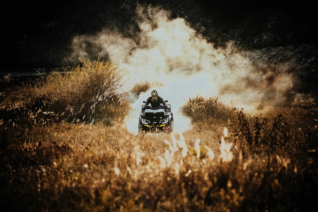  Quad hike in the Vosges forest