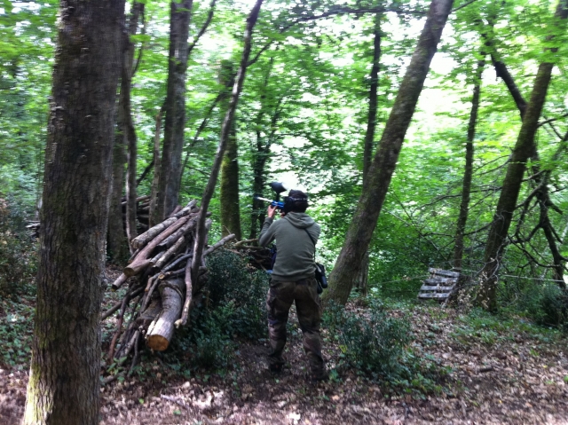  Nine hectares of forest 