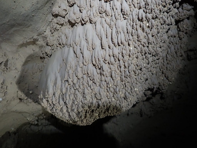 Un  régal pour les yeux