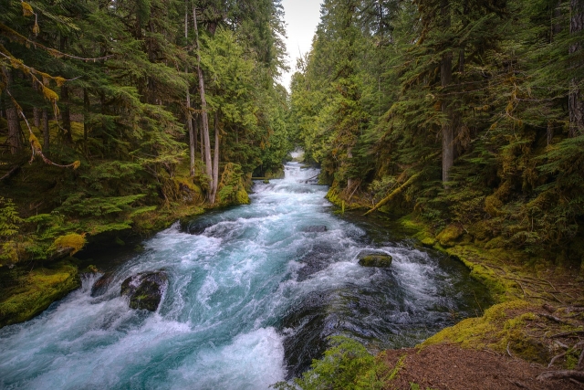  Entdecken Sie die bezaubernde Natur 