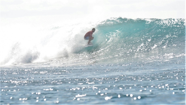  High level surfer lessons