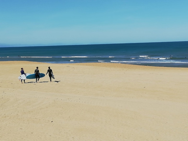  Lezioni di surf di gruppo