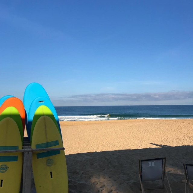  Ven a recoger tus tablas de surf