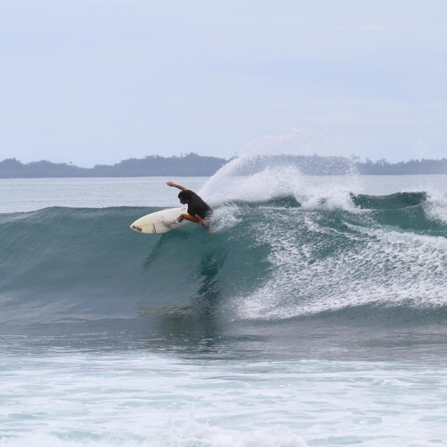 Surfeur confirmé 