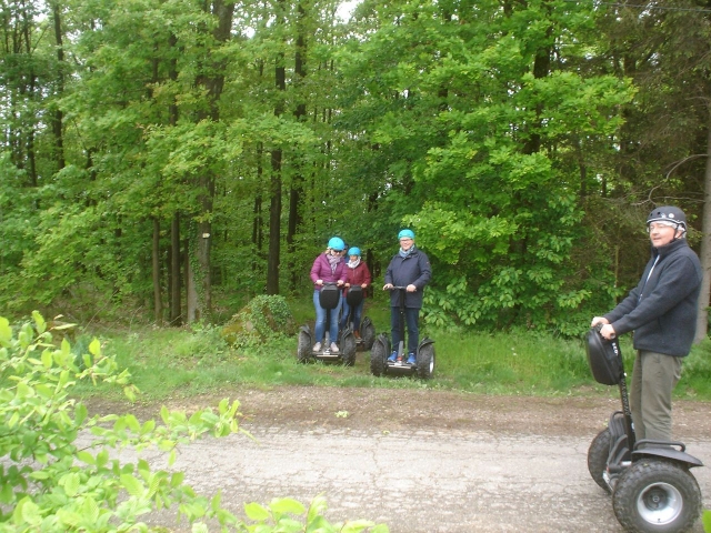  Short break in the forest 