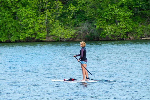  Stand up paddle 
