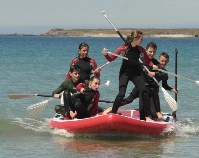  Diversão em Paddle 