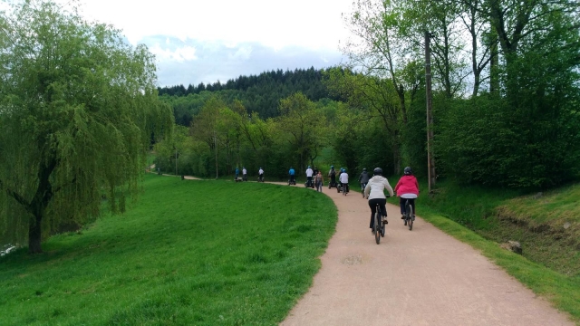  Segway em cublize 