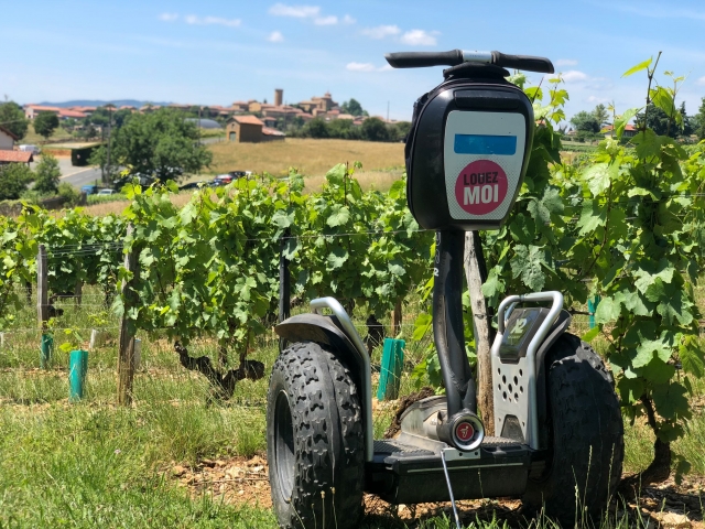  Passaggio tra i vigneti 