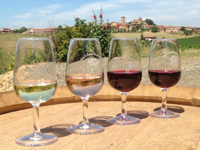  Discovery of local wines