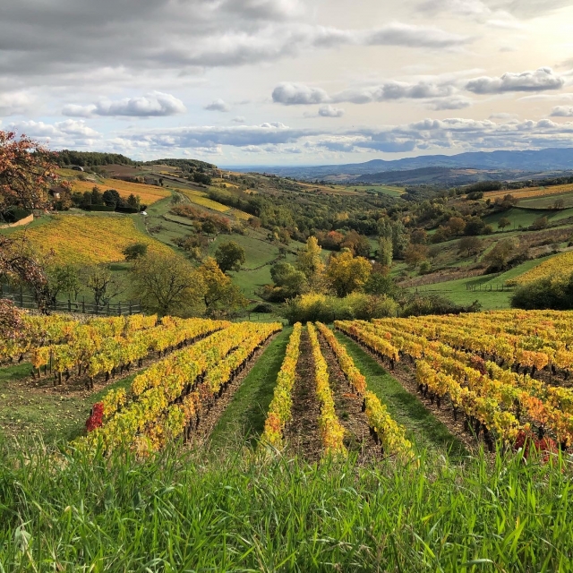  The magnificent landscapes of the Rhône department 