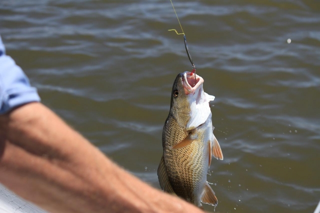  Pesca en el lago con cebo 