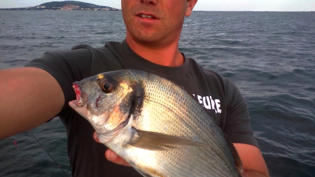  Pescado capturado en el lago Thau 