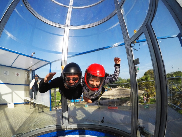  Free fall simulator 