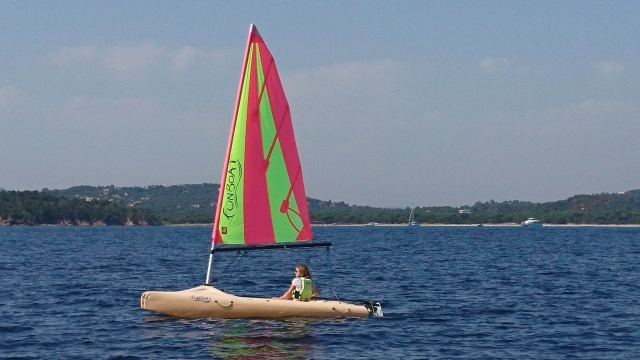 Sailing in progress 