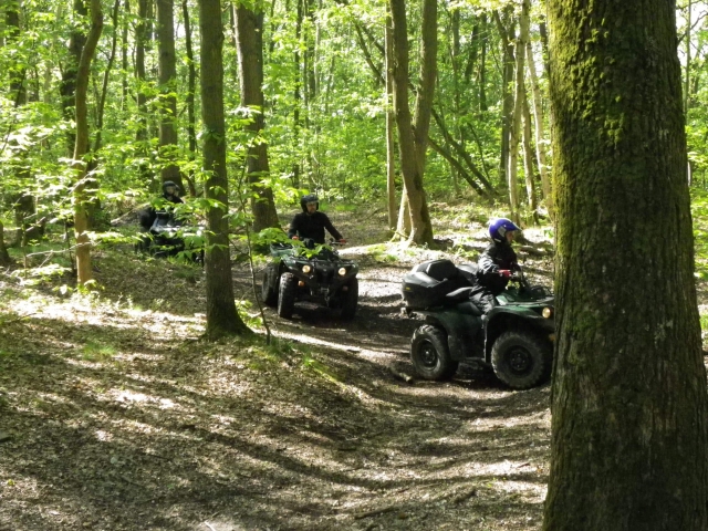  Wandern mitten im Wald 
