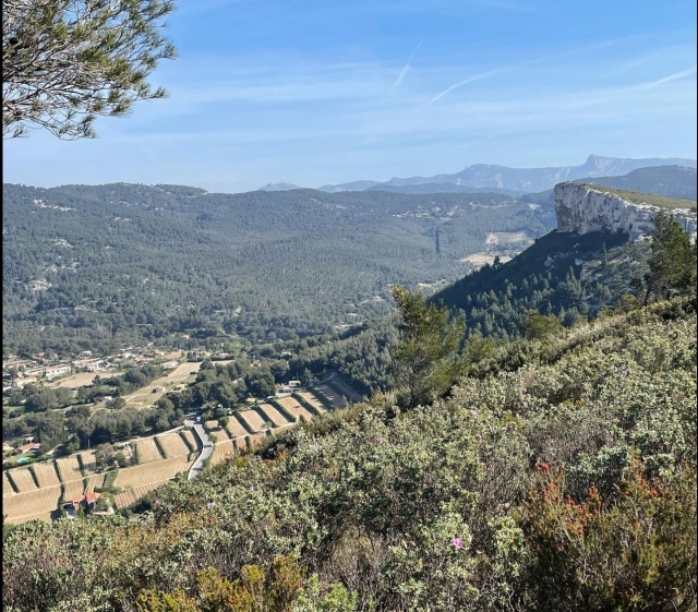  Magnifici territori vitivinicoli 