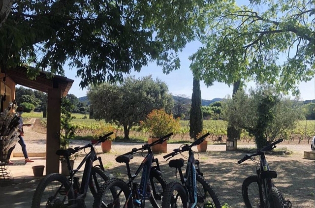  Biciclette di qualità 