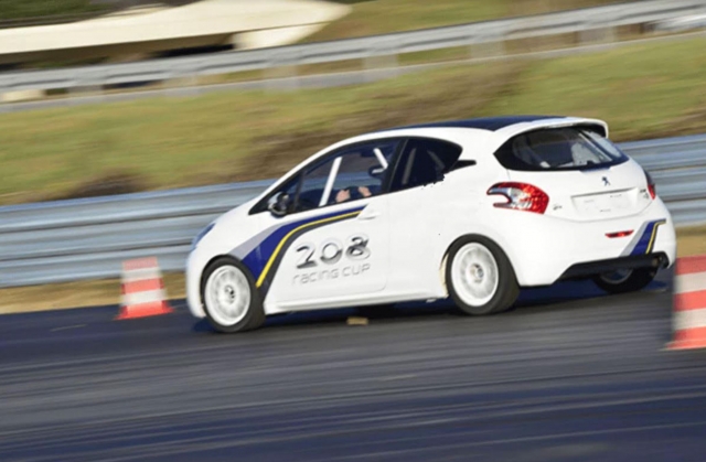  Adrenalina 
