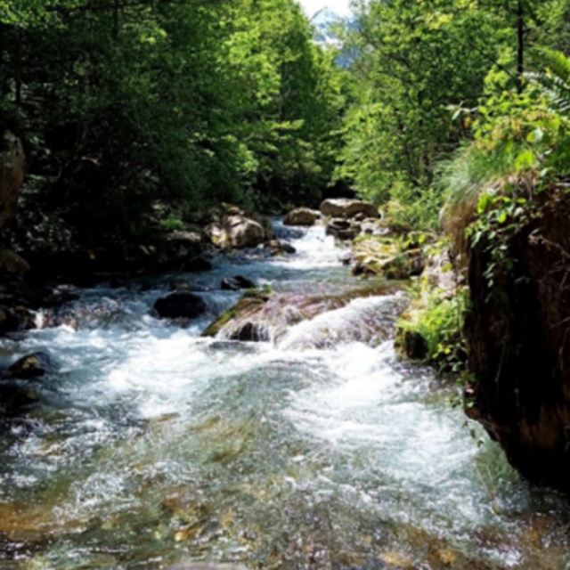  Río Courbière