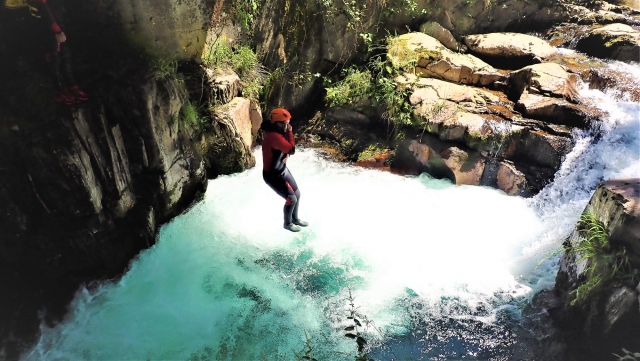 Un petit plongeon pendant l'activité