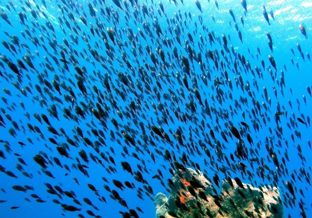  Eine magische Umgebung 