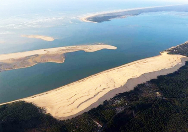 Arenales de la cuenca de Arcachon 