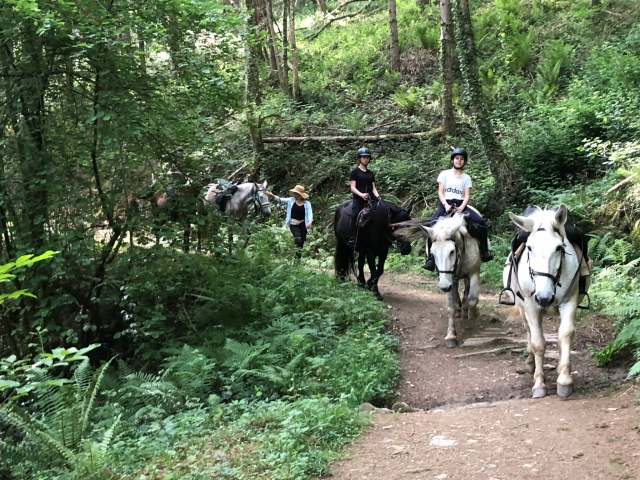 Promenade sur les sentier de la forêt de Bagnères de Bigorre