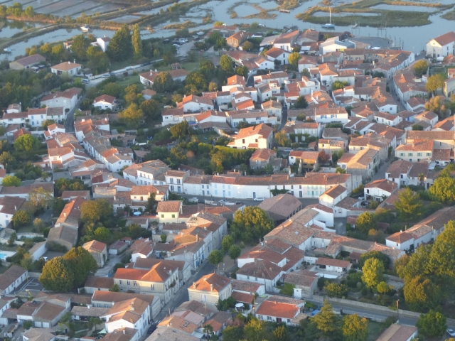 Au-dessus du nid 