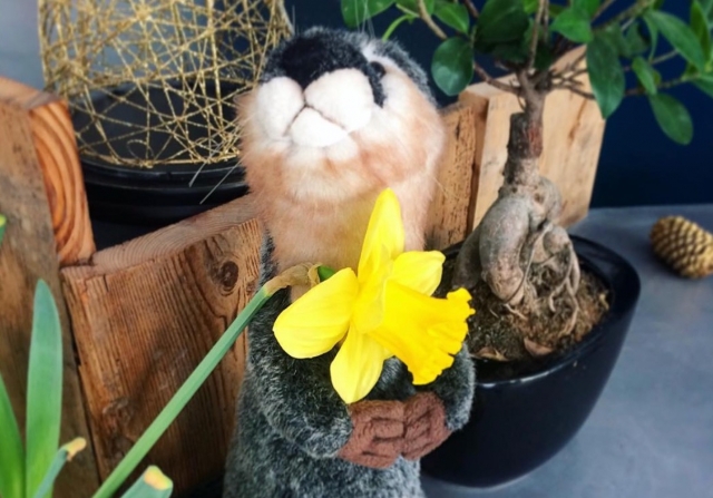  Pequeña nutria con una flor en Lyon