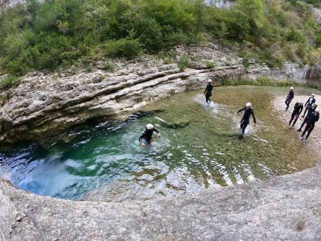  在清澈的海水中游泳 