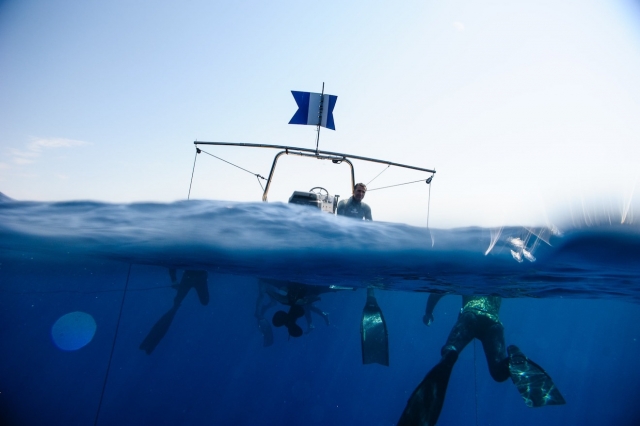  The pleasure of snorkeling!