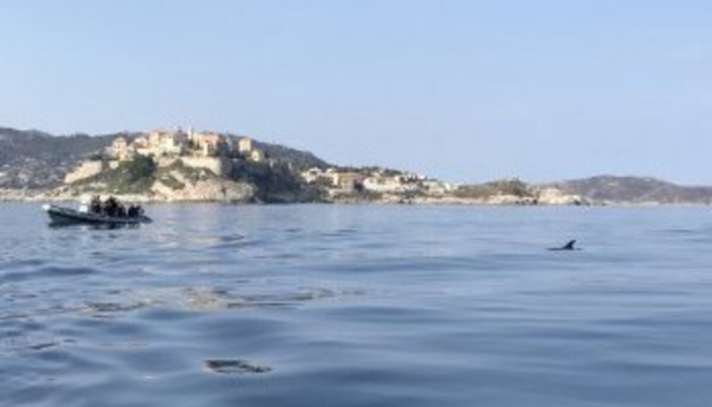 Departure for apnea session near Nice 
