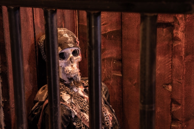  The skeleton of an ancient pirate