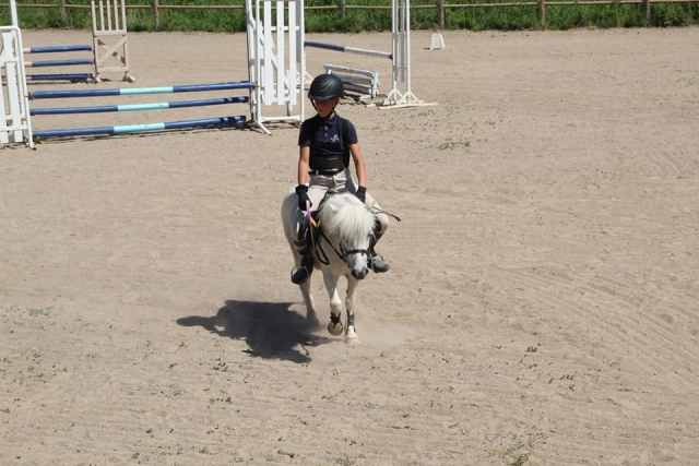Poney blanc, la crinière au vent