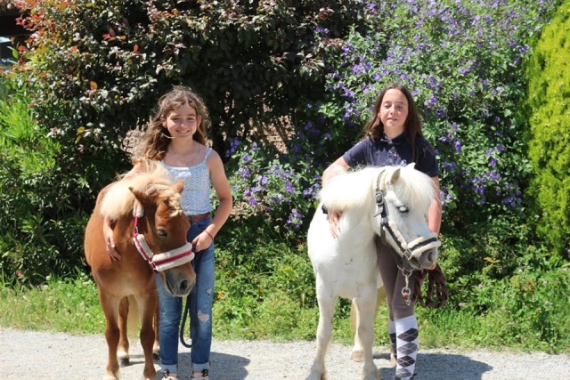 Les enfants adorent nos petits poneys