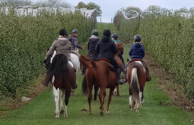 Balades en groupe à cheval dans le Vexin