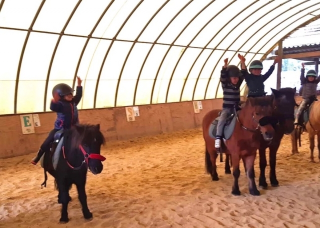  Tolles Pony! 