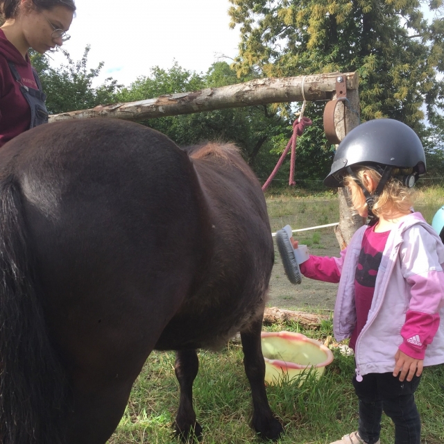  La petite fille prend soin de son poney après el paseo