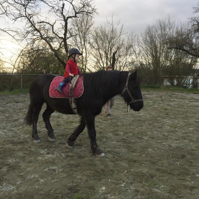  Baptême en poney  