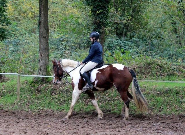 Dans la forêt 