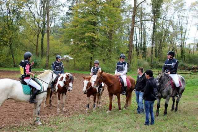 Randonnée en groupe dans les bois