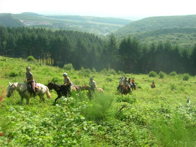 Dans les beaux paysages de la Saône-et-Loire