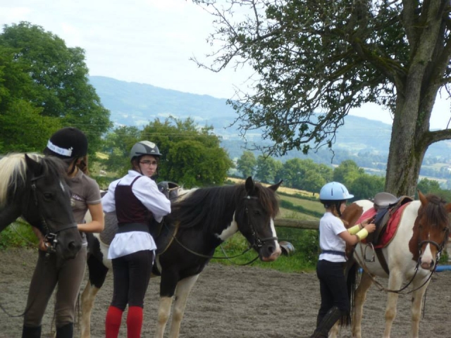  Contatto con i pony 