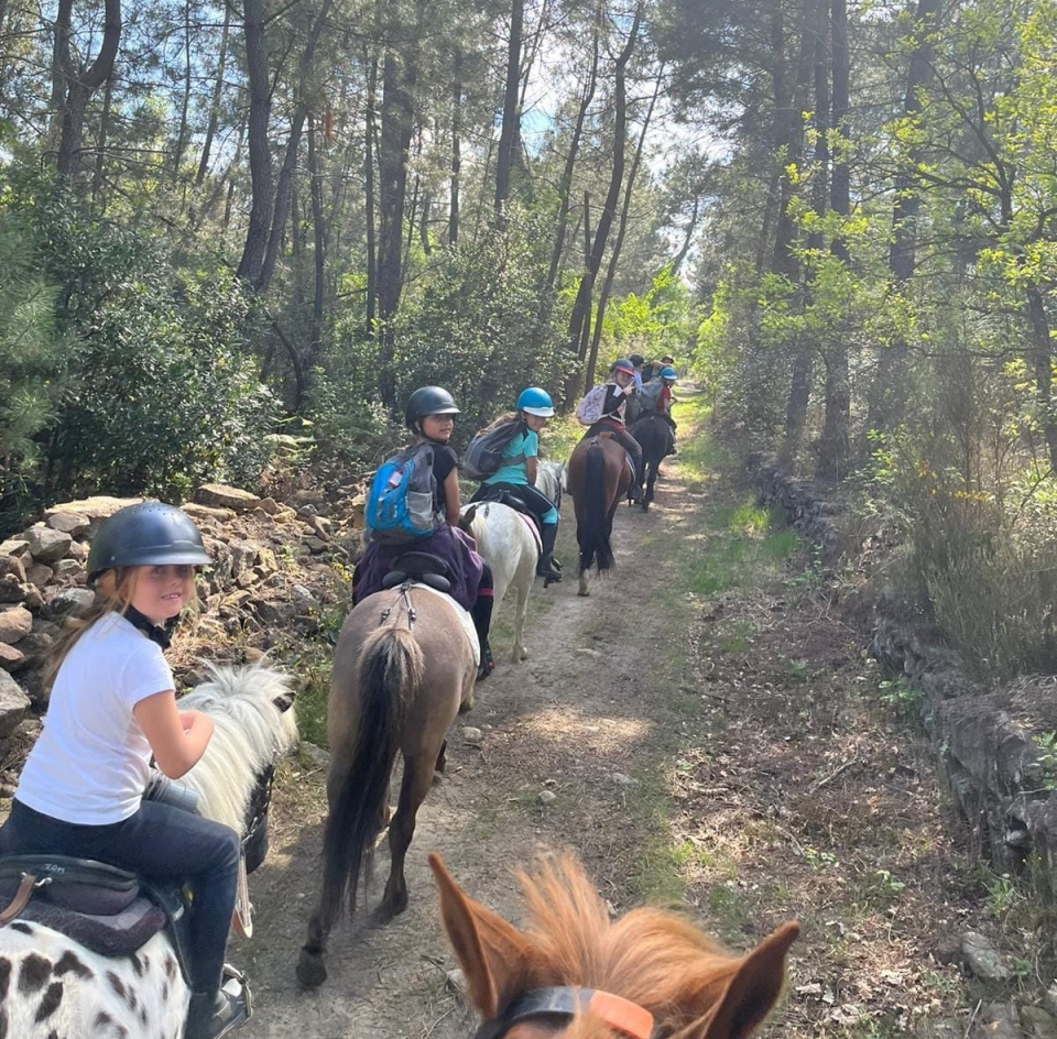  Goditi un momento equestre nella foresta 