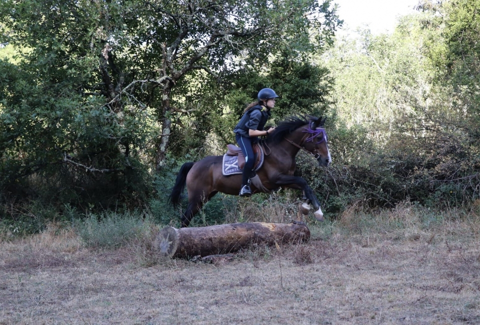  Vivi un'avventura equestre nel grande outdoo