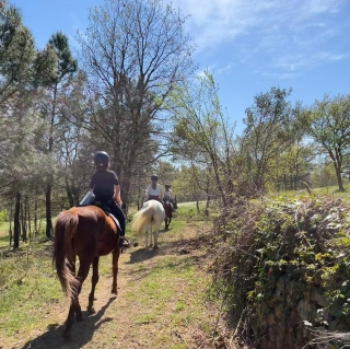 Balade à cheval à Tauriers en Ardèche - 1h