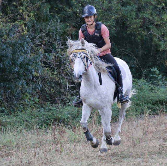  Preparation for the horse ride 