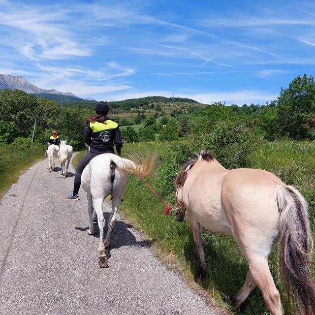  Paseo a caballo con guía 