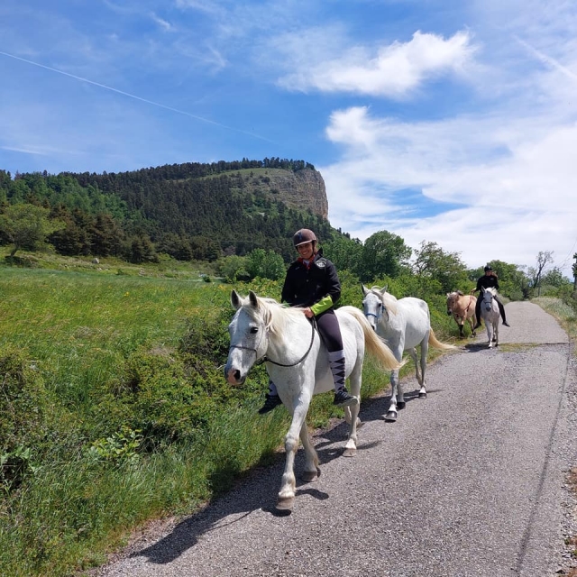  Paseos a caballo en los Altos Alpes 